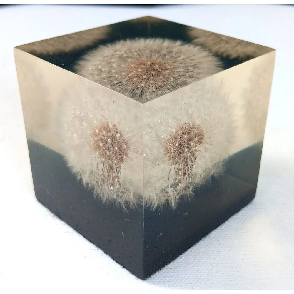 Vintage Dandelion Lucite Resin Cube Paperweight  Shoreline 2 3/8